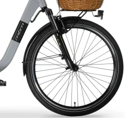 MBM Elektro-Citybike RHEA 28 Zoll, grey