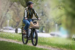 MS Energy Urban und City E-Bike CITYZEN c102