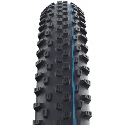 MTB-Fahrradreifen RACING RAY - ADDIX Speed Evolution Line 29x2.35" 60-622