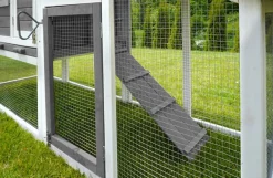 MyAnimal Hühnerstall für 4 Hühner MH-32 mit Eiablage, Hühnerhaus schutzimprägniert, Dach abnehmbar (Grau 2.0)