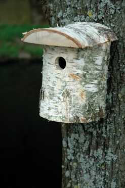 Naturbelassener Birkenholz-Nistkasten, Nisthilfe für Wildvögel, Loch Ø 32 mm, 14 x 14 x 22 cm, Birke