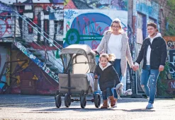 PINOLINO Klappbollerwagen Cruiser PI 500 – grau