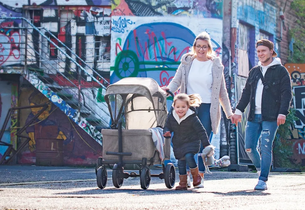 PINOLINO Klappbollerwagen Cruiser PI 500 – grau