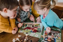 Playmobil 70763 - Country - Das Detektivspiel, Komplettpaket