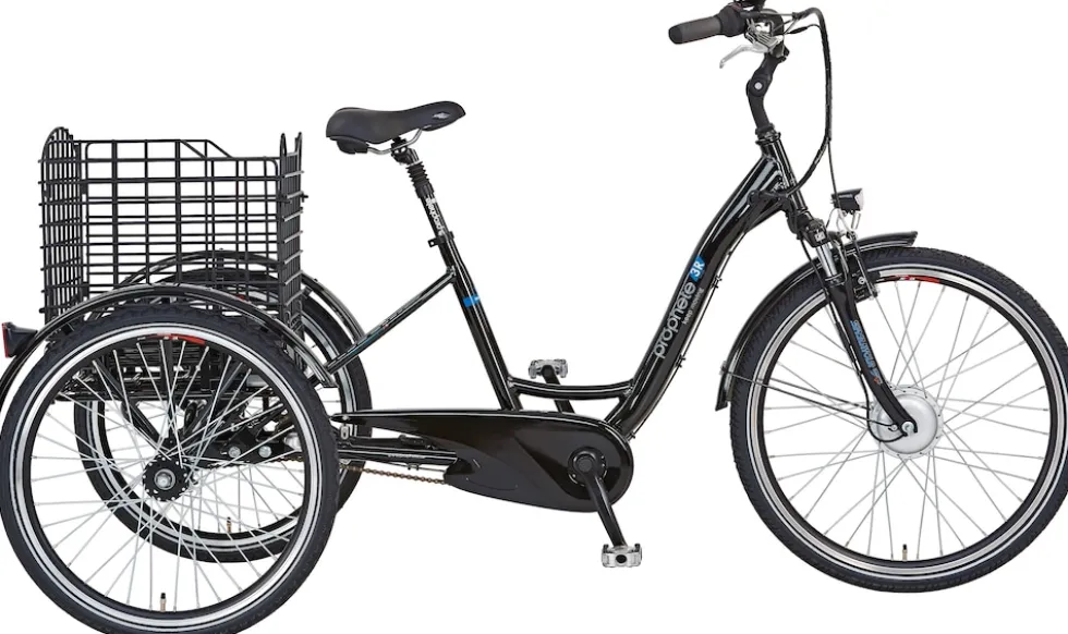 PROPHETE CARGO 3R 23.ESL.10 E-Bike 24"/26" BLAUPUNKT VR-Motor