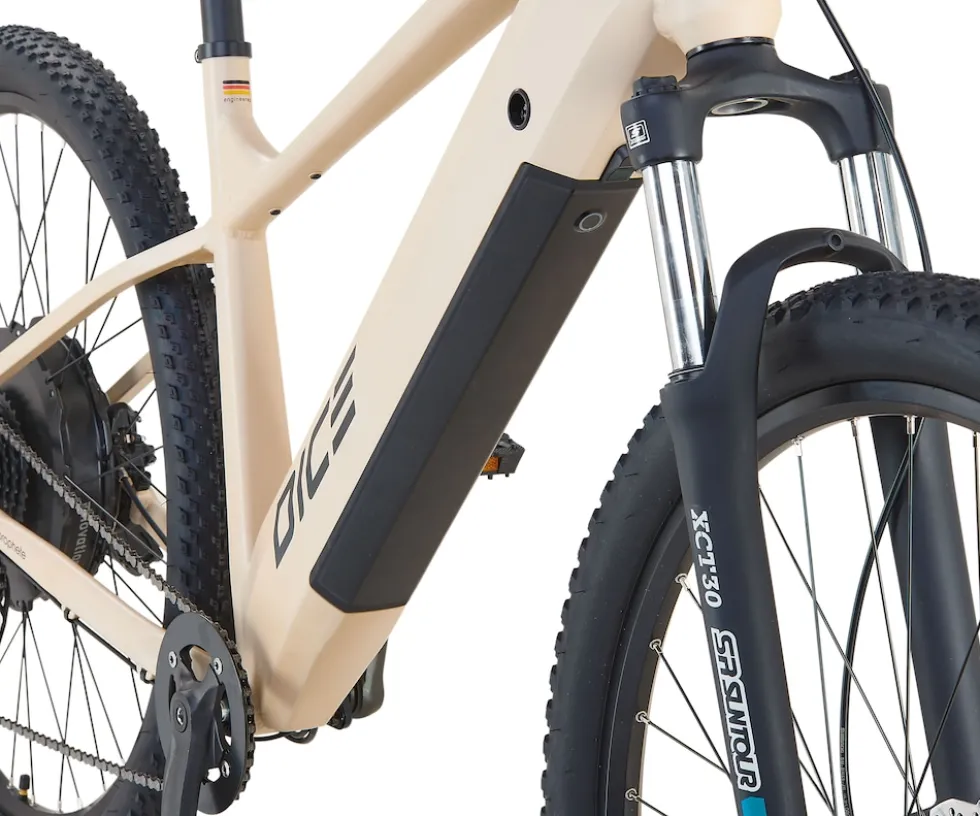 Prophete Dice 2.0 E-MTB E-Bike 29"