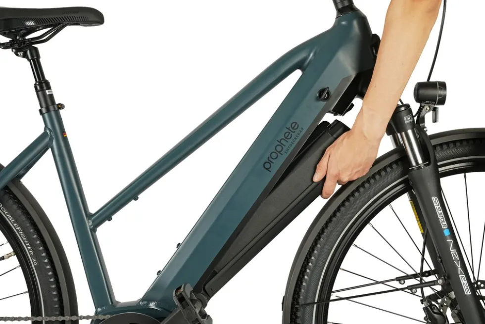 Prophete E-Bike Entdecker 4.8 RH50