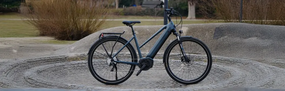 Prophete E-Bike Entdecker 4.8 RH50