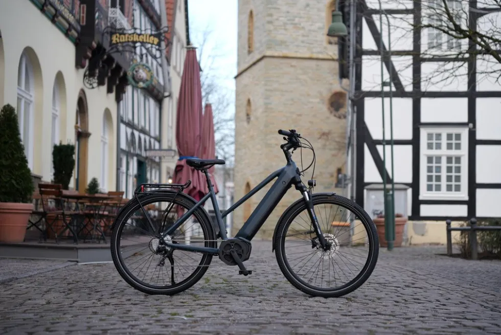Prophete E-Bike Entdecker 4.8 RH50