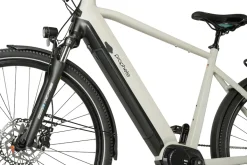 Prophete E-Bike Entdecker 5.0 Trekking 28