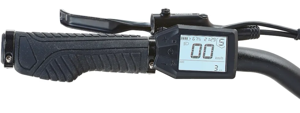 Prophete E-Bike Entdecker 2.0 Trekking 28" Diamant