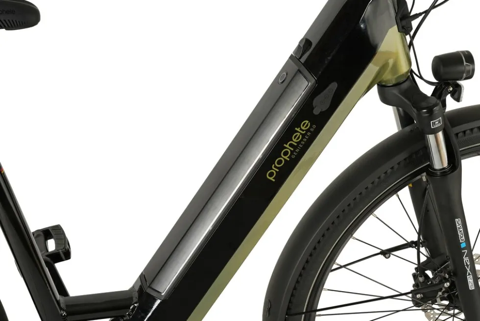 Prophete E-Bike Geniesser 6.0 City 28"