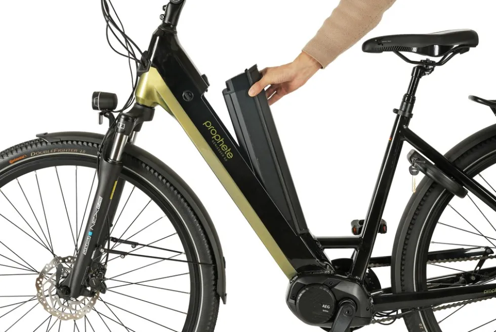 Prophete E-Bike Geniesser 6.0 City 28"