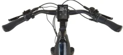 Prophete E-Bike Geniesser 6.0 City 28