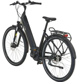 Prophete E-Bike Geniesser 3.8 RH48