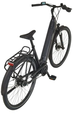 Prophete E-Bike Geniesser 3.8 RH48