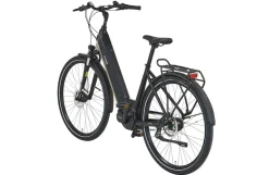 Prophete E-Bike Geniesser 3.8 RH48