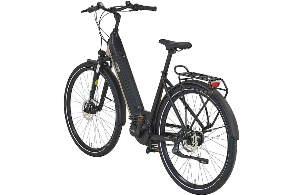 Prophete E-Bike Geniesser 3.8 RH48