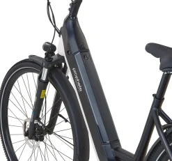 Prophete E-Bike Geniesser 4.8 RH48