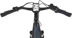 Prophete E-Bike Geniesser 4.8 RH48