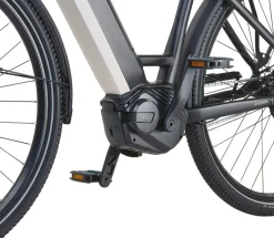 Prophete E-Bike Geniesser 4.8 RH48