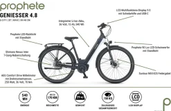 Prophete E-Bike Geniesser 4.8 RH48