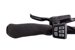 Quantum Sport Lady 10 Gang Bafang Mittelmotor Scheibenbremsen
