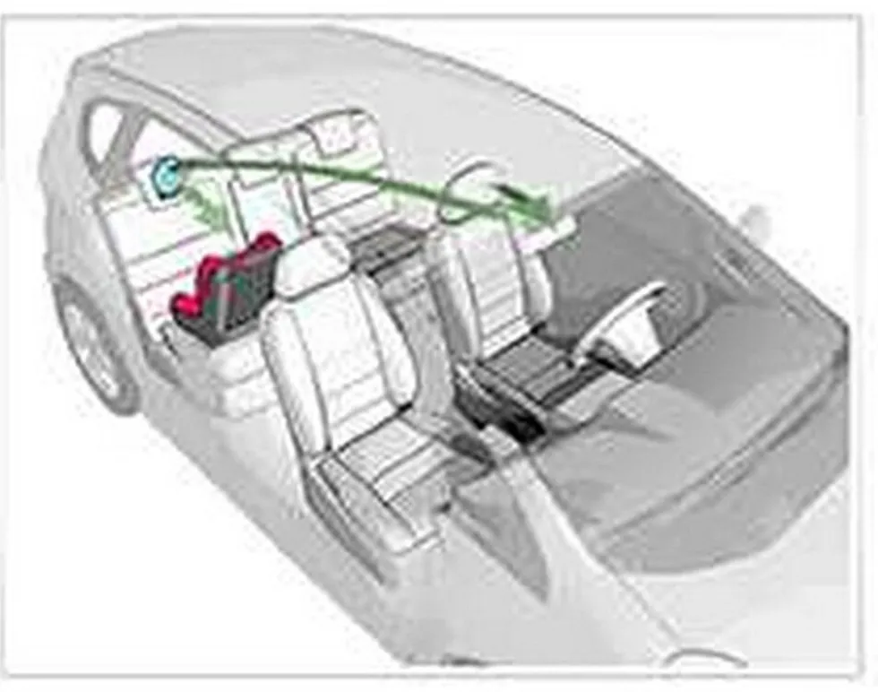 reer Safetyview Sicherheitsspiegel
