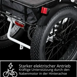 Remington R100 E Bike Elektro Dreirad 20 Zoll Elektrodreirad mit 2 Akkus bis 120 km Pedelec City mit tiefem Einstieg klappbar