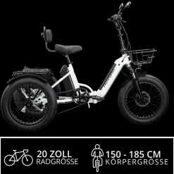 Remington R100 E Bike Elektro Dreirad 20 Zoll Elektrodreirad mit 2 Akkus bis 120 km Pedelec City mit tiefem Einstieg klappbar