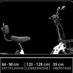 Remington R100 E Bike Elektro Dreirad 20 Zoll Elektrodreirad mit 2 Akkus bis 120 km Pedelec City mit tiefem Einstieg klappbar