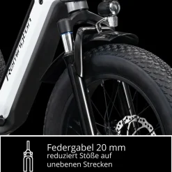 Remington R100 E Bike Elektro Dreirad 20 Zoll Elektrodreirad mit 2 Akkus bis 120 km Pedelec City mit tiefem Einstieg klappbar