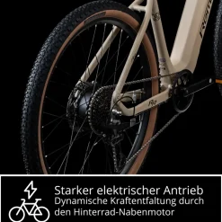 Remington XR01 E Bike Mountainbike 29 Zoll Pedelec 10 Gänge 550 Wh Akku Fahrrad Hardtail MTB