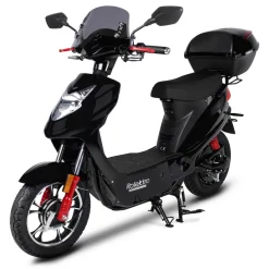 Rolektro, E-City 45 Hero V.2, Bleigel, Schwarz, 48V-20Ah, 1000 Watt