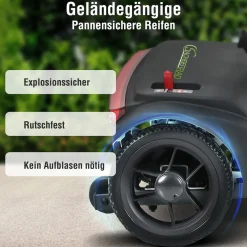 SachsenRAD BestAGE Seniorenmobil Royal