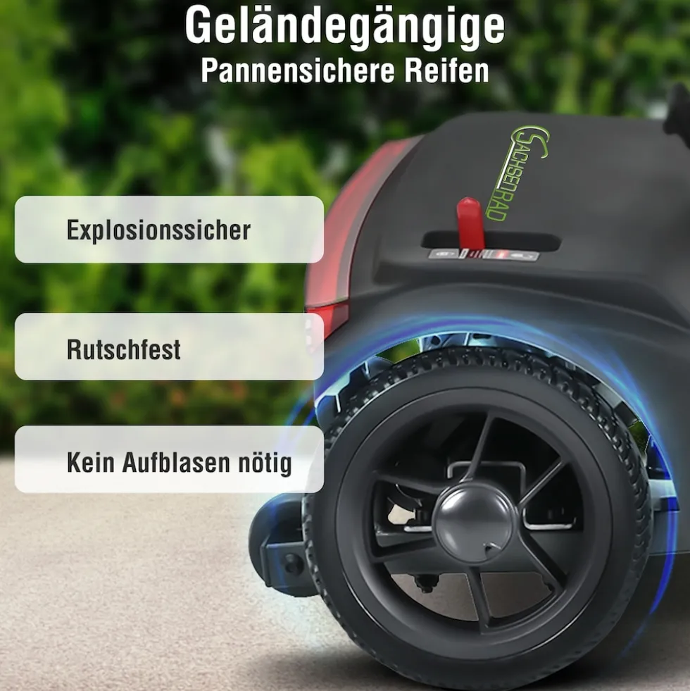 SachsenRAD BestAGE Seniorenmobil Royal