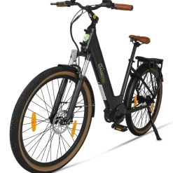 SachsenRAD E-SUV CityBike C5R Centro