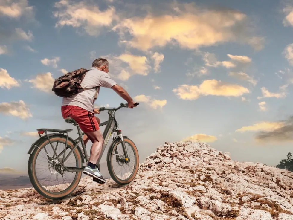SachsenRAD E-SUV S8 Centro E-Bike für Stadt, Trekking, Gelände, hohe Reichweite