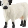 Schleich Galloway Rind