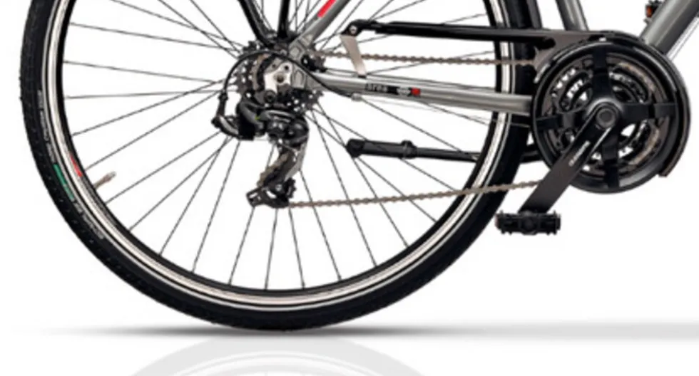 Trekkingbike ARENA LADY 28 Zoll