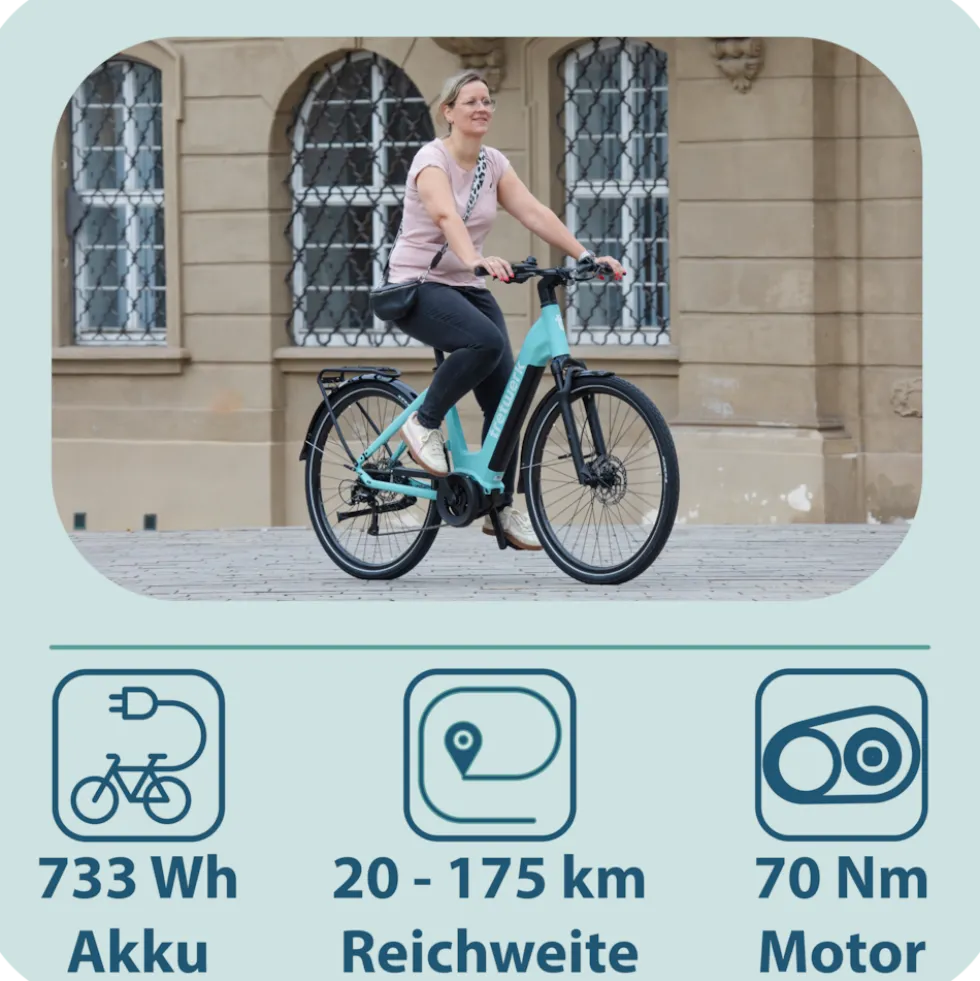 Tretwerk Amber E Bike Damen 28 Zoll Elektrofahrrad 155 - 185 cm Hollandrad Tiefeinsteiger mit 9 Gang Schaltung