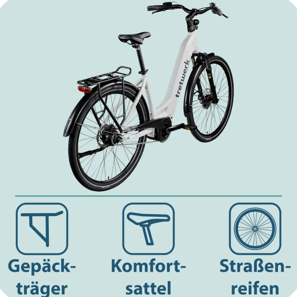 Tretwerk Amber Nexus E Bike Damen 28 Zoll Elektrofahrrad 155 - 185 cm Hollandrad Tiefeinsteiger mit 8 Gang Nabenschaltung