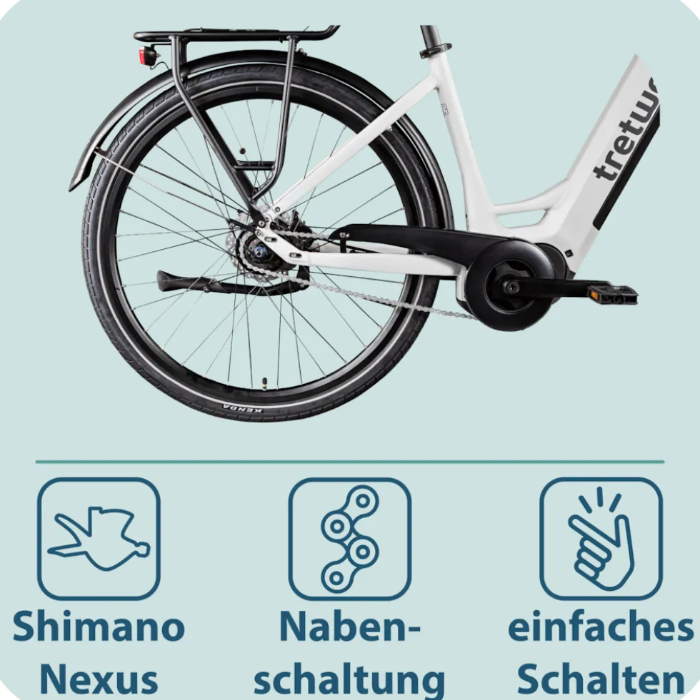 Tretwerk Amber Nexus E Bike Damen 28 Zoll Elektrofahrrad 155 - 185 cm Hollandrad Tiefeinsteiger mit 8 Gang Nabenschaltung