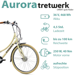 Tretwerk Aurora E Bike Damen 28 Zoll Elektrofahrrad 165 - 185 cm retro Hollandrad E Damenfahrrad mit Nabenschaltung und Rücktritt