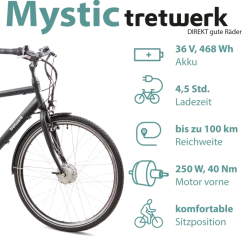 Tretwerk Mystic E Bike 28 Zoll Pedelec 170 - 190 cm Herrenrad Trekking Elektrofahrrad mit Nabenschaltung City E Fahrrad