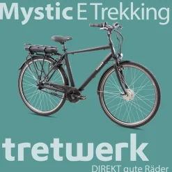 Tretwerk Mystic E Bike 28 Zoll Pedelec 170 - 190 cm Herrenrad Trekking Elektrofahrrad mit Nabenschaltung City E Fahrrad