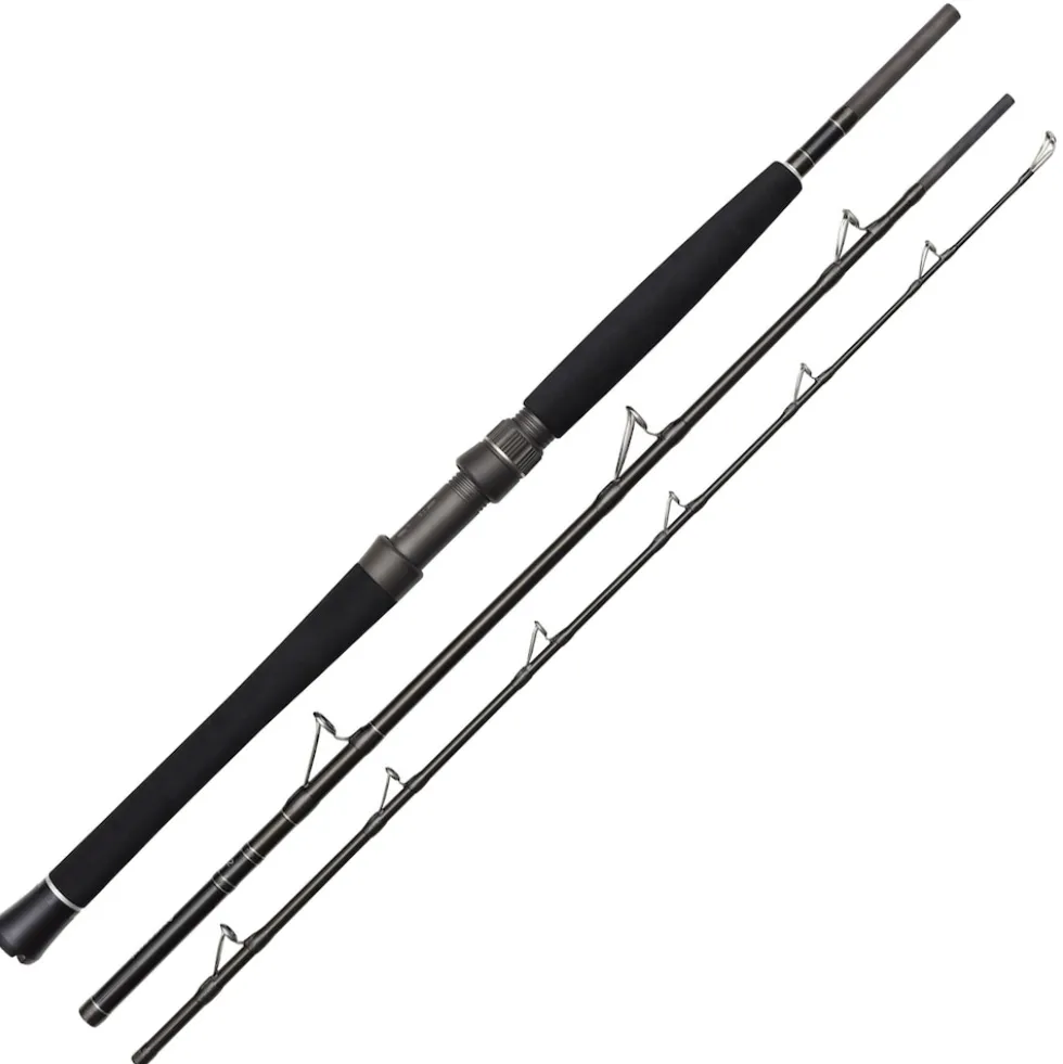 Westin W2 Boat 6'6"/195cm H 12-20Lbs/100-250g 3Sec Boots-Reiserute