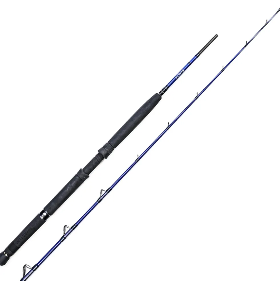 Westin W6 Boat XH 1,95m 20-30lbs 150-400g 2 Teile Meeresrute