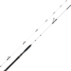 WFT Coastal Jigger Salzmeister 2,75m 40-160g Meeresrute 2-Teilig