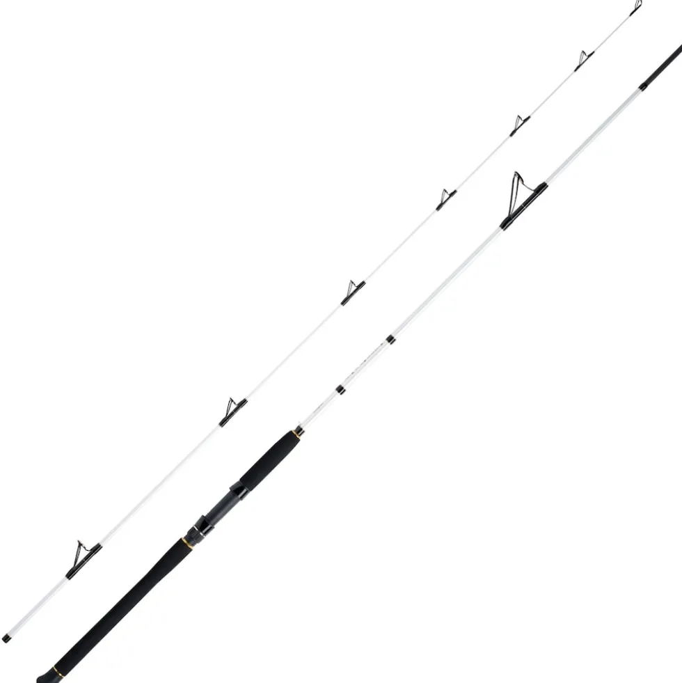 WFT Coastal Jigger Salzmeister 2,75m 40-160g Meeresrute 2-Teilig